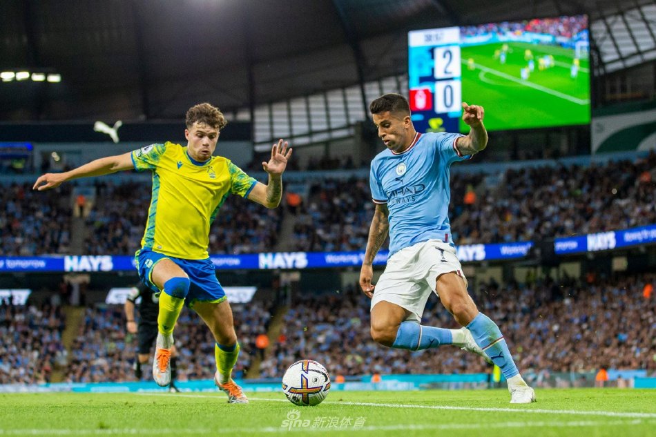 勇敢并不是 勇敢并不是