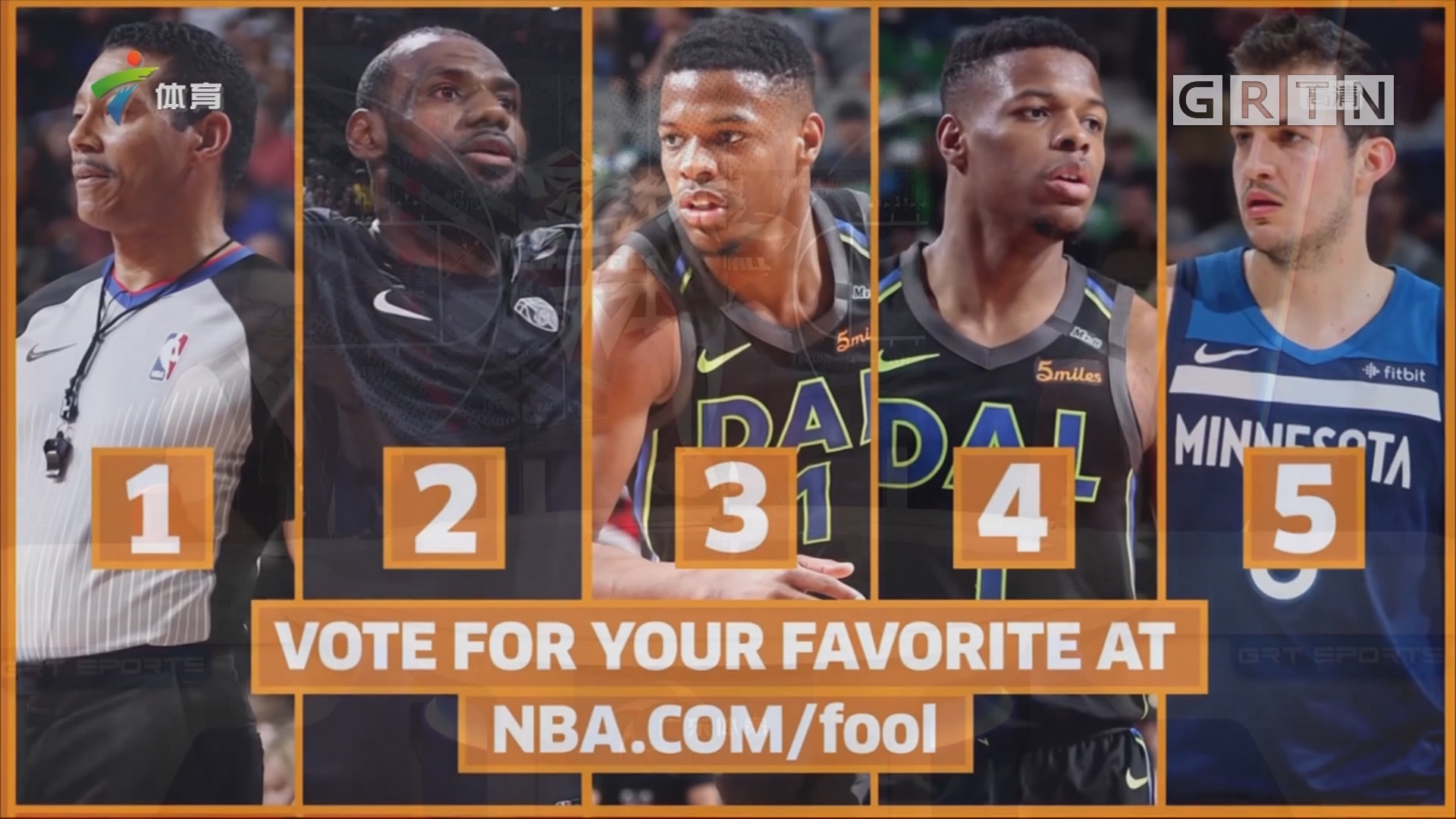 根本没有意 根本没有意